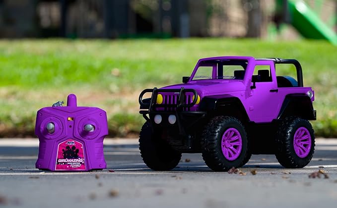 Jada Toys GIRLMAZING Jeep R/C Vehicle (1:16 Scale), Purple (Pack of 4)