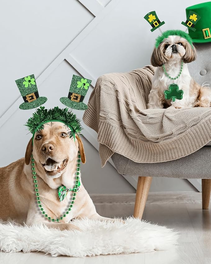 St. Patrick's Day Party Favor Set, St. Patrick's Day Novelty Jewelry Assortment with Headband Necklace Bracelet Glasses Tattoo Stickers Accessories Kiss Me I'm Irish Sash for Irish Party Décor
